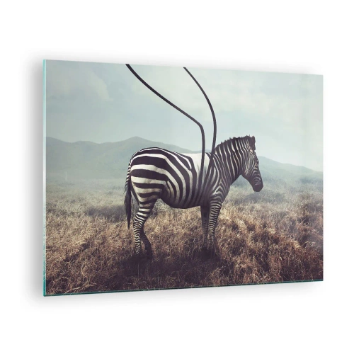 Obraz na skle - Zebra na tráve pozadia s neskutočným detailom antény - 70x50cm - Pozor! Porucha - Moderná nástenná dekorácia do obývacej izby a spálne ARTTOR
