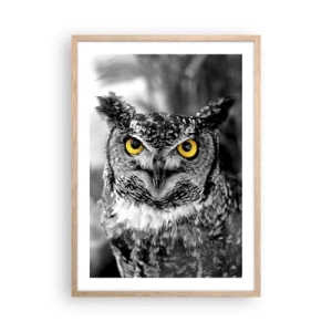 Plagát v ráme zo svetlého duba - Nič sa neschová - 50x70 cm