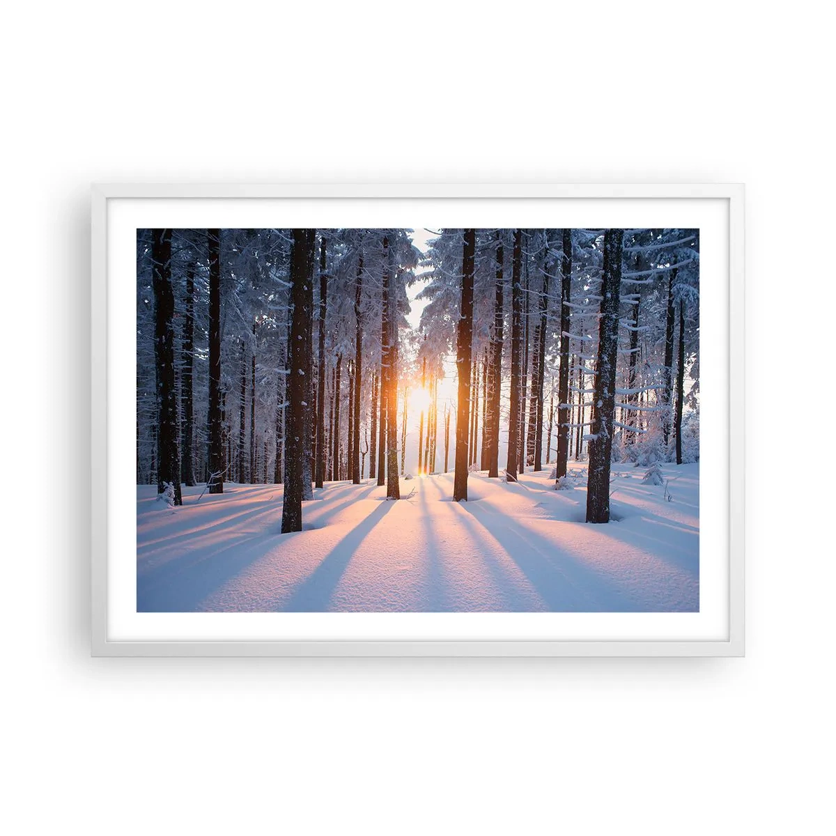 Plagát v bielom ráme - Jasne čierne na bielom - 70x50 cm