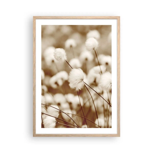 Plagát v ráme zo svetlého duba - Chlpatý lán - 50x70 cm