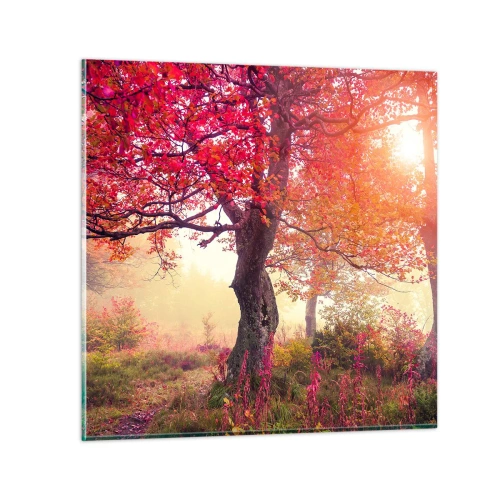 Obraz na skle - Šialenstvo rozkvetu - 50x50 cm