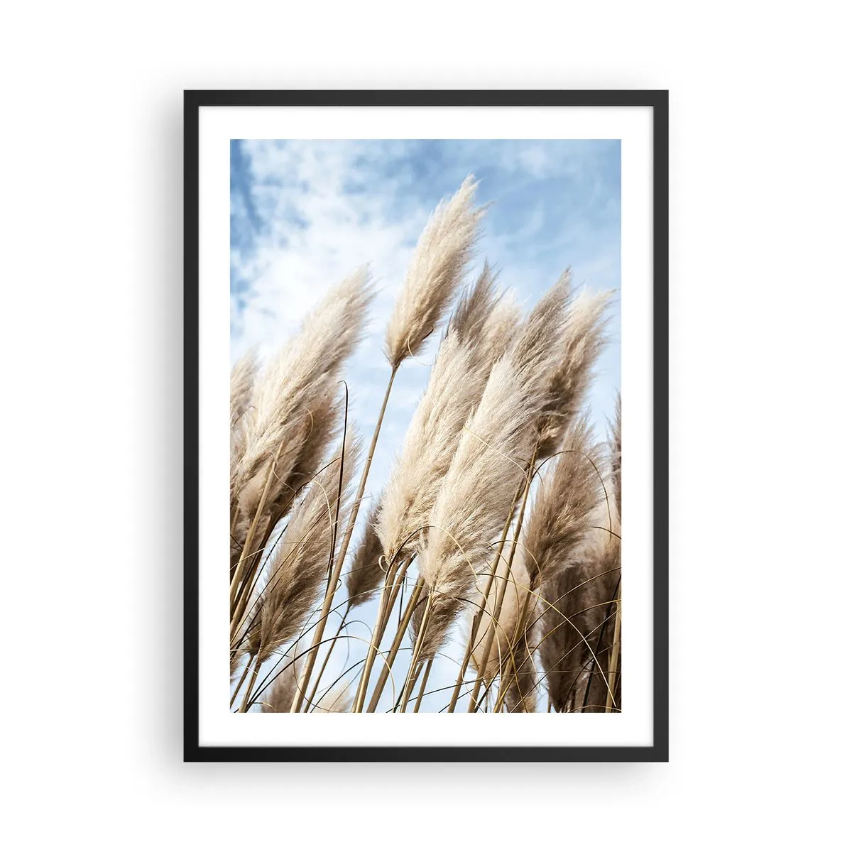 Plagát v čiernom ráme - Pampasská tráva proti oblohe - 50x70cm - Slnečné a veterné pohladenie - Moderná nástenná dekorácia do obývacej izby a spálne ARTTOR