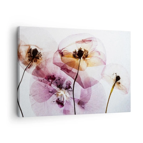 Obraz na plátne - Jemné priehľadné kvety v pastelových odtieňoch - 70x50cm - Priehľadné telá kvetín - Moderná nástenná dekorácia do obývacej izby a spálne ARTTOR