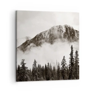 Obraz na plátne - Žulový panovník - 50x50 cm