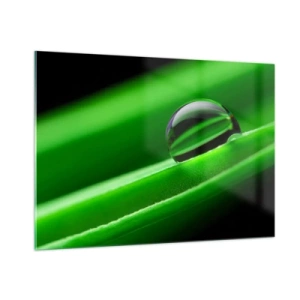 Obraz na skle - Život zblízka - 100x70 cm