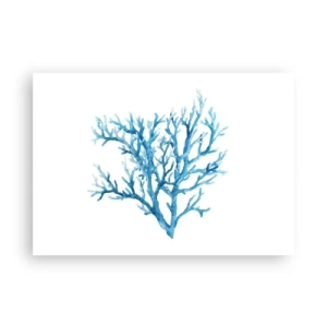 Plagát - Morský filigrán - 100x70 cm