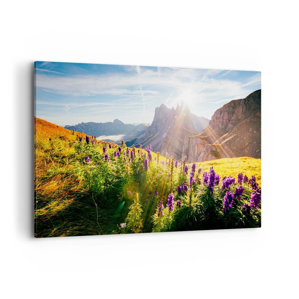 Obraz na plátne - Tajomný život bylín - 120x80 cm