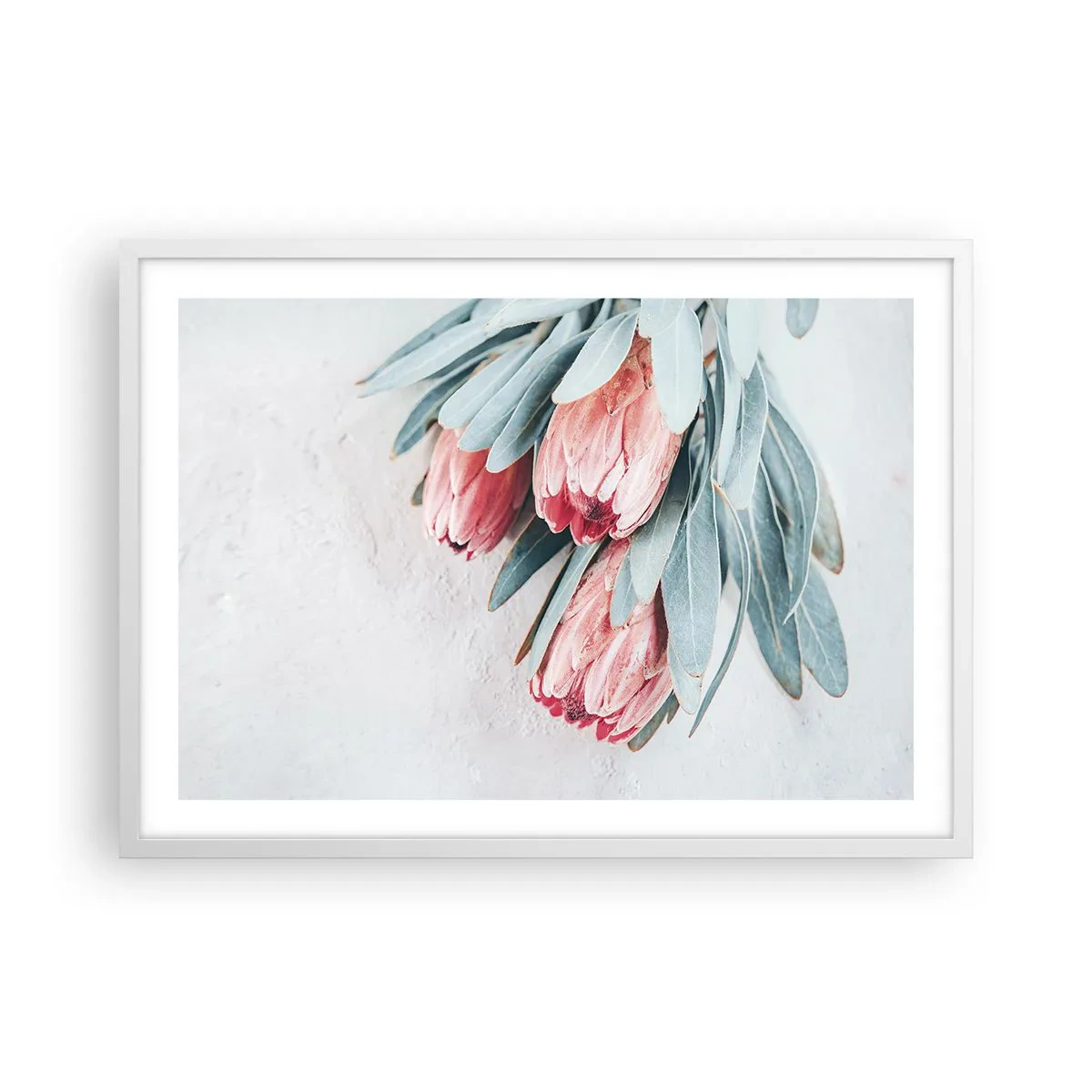 Plagát v bielom ráme - Zahanbené svojou vlastnou krásou - 70x50 cm