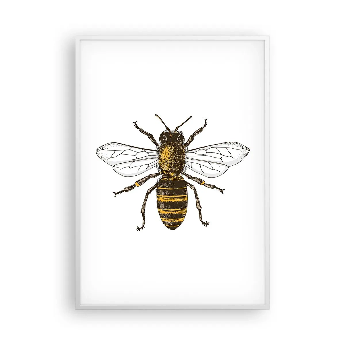 Plagát v bielom ráme - Krásna a dobrá - 70x100 cm