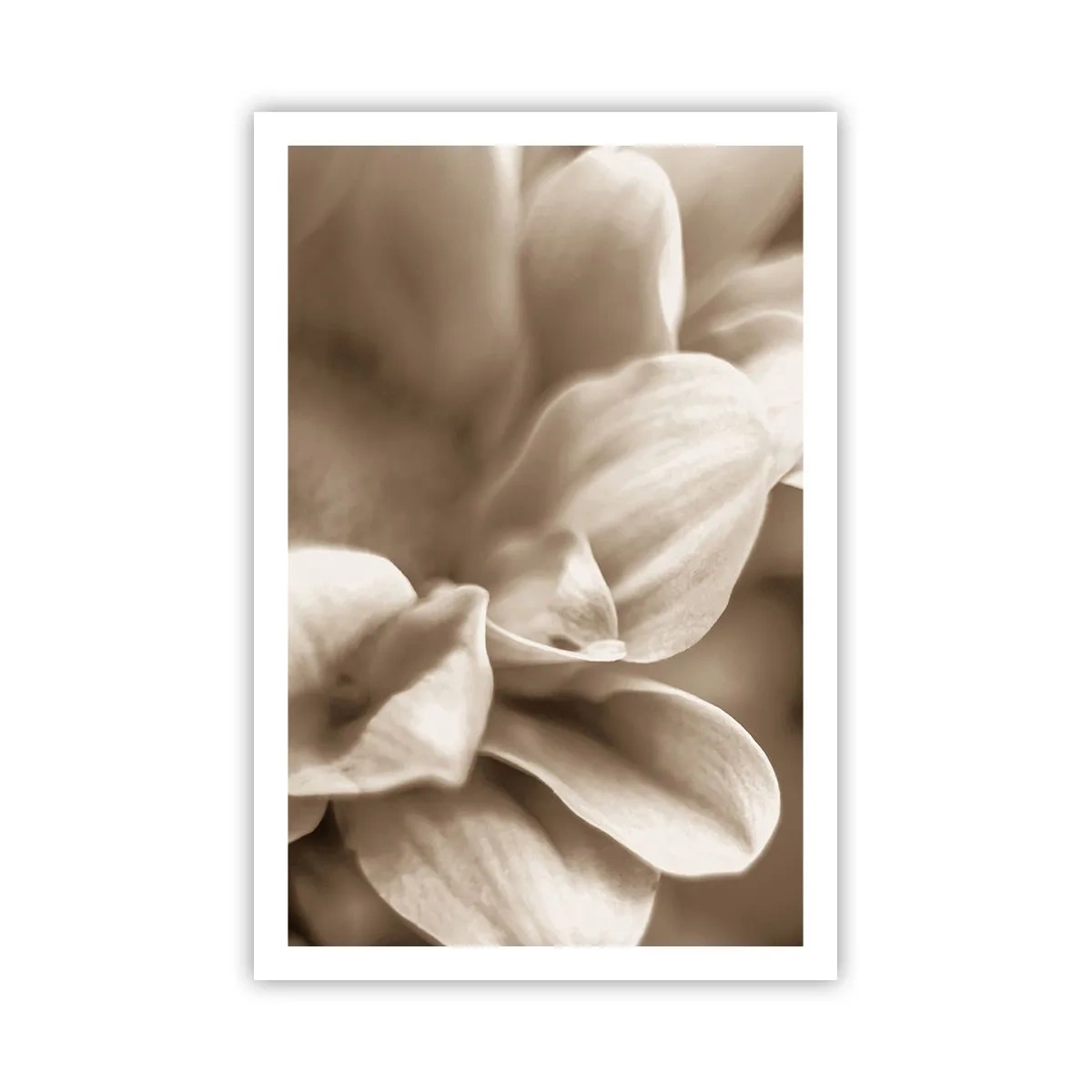 Plagát - Nežné ako úsmev - 61x91 cm