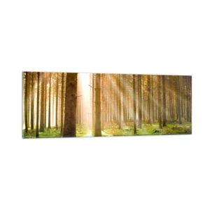 Obraz na skle - Čoskoro sa objavia elfovia - 90x30 cm