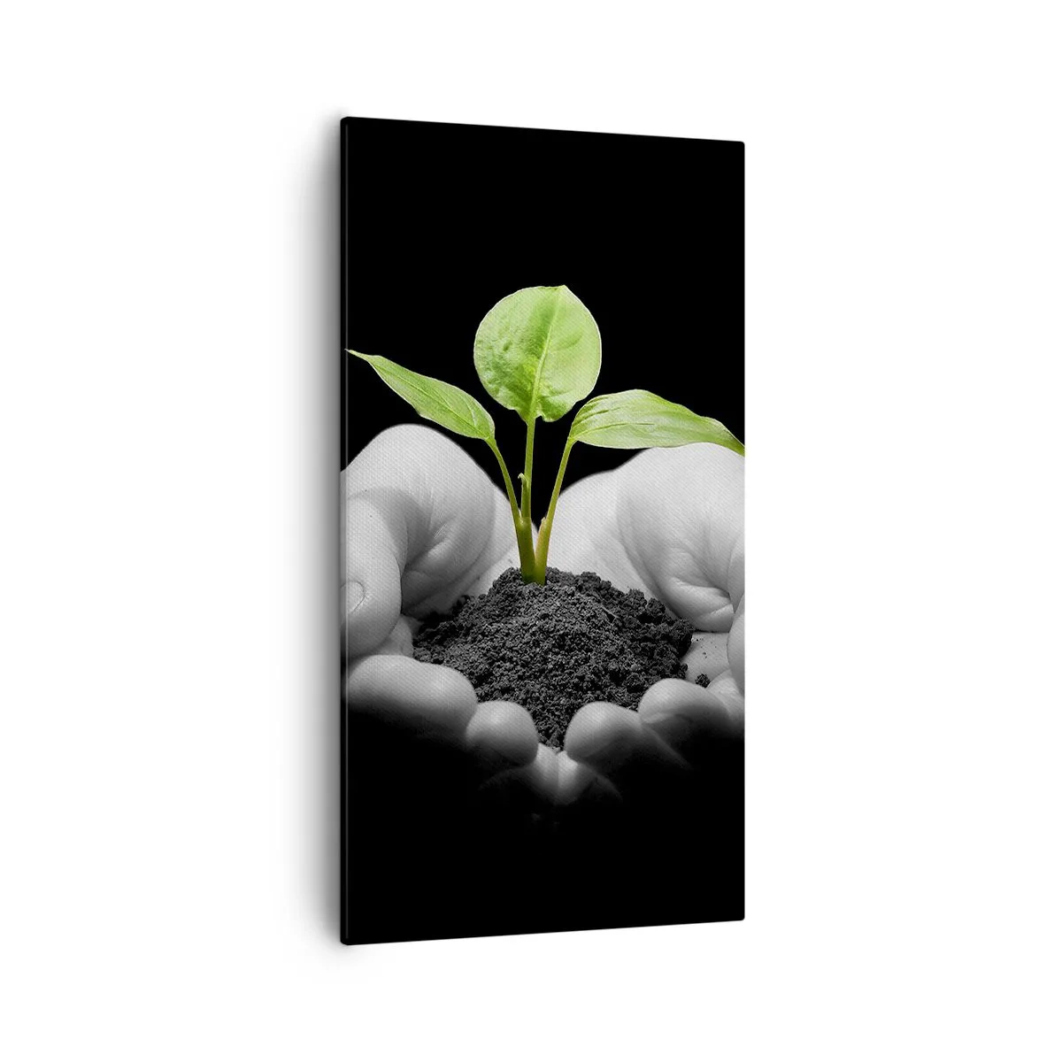 Obraz na plátne - Milujem prírodu, chránim ju - 55x100 cm