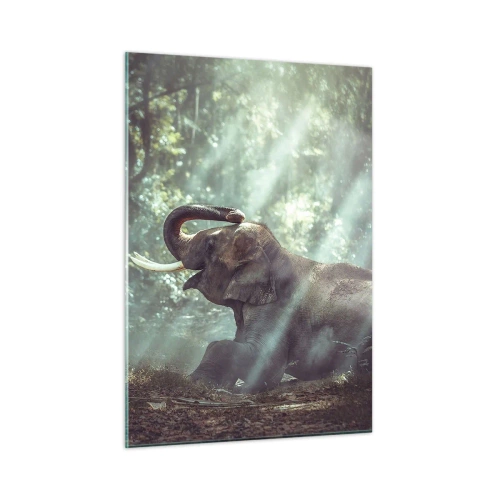 Obraz na skle - A počuj toto… - 50x70 cm