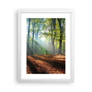 Plagát v bielom ráme - Svetlá a tiene - 30x40 cm