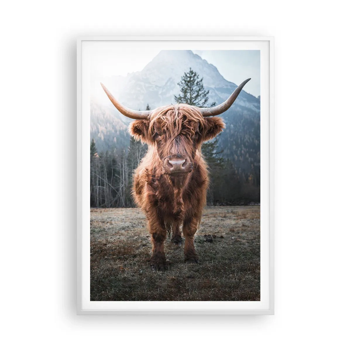 Plagát v bielom ráme - Pozdravy z horskej lúky - 70x100 cm