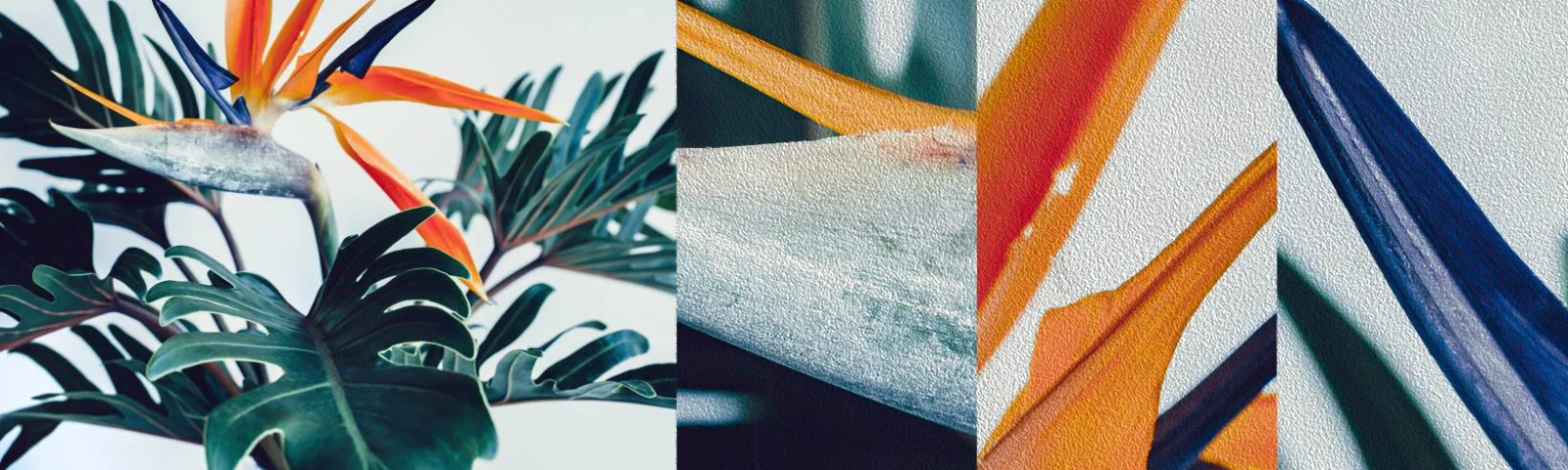 Vzorka fototapety Premium Sand - Vtáker - Rastliny, Boho, Exotické - 100x30 cm