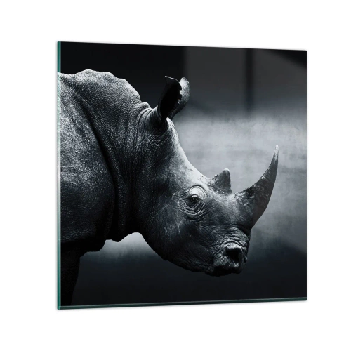 Obraz na skle - Pravý profil - 70x70 cm