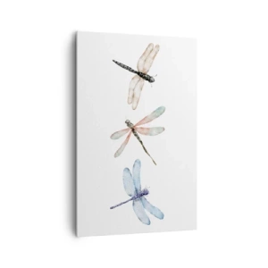 Obraz na plátne - Beztiažové vážky - 80x120 cm