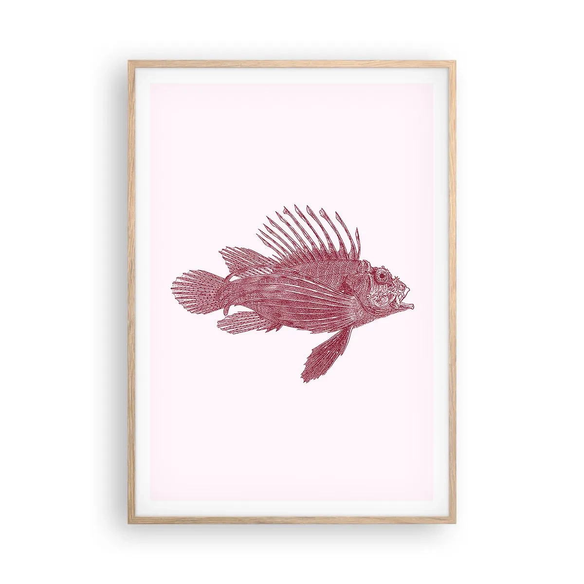 Plagát v ráme zo svetlého duba - Obyvateľka exotických vôd - 70x100 cm