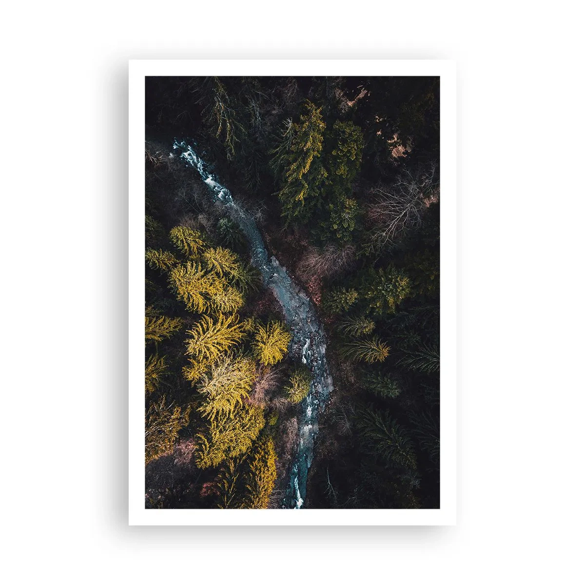 Plagát - Rýchlo, stále rýchlejšie - 70x100 cm