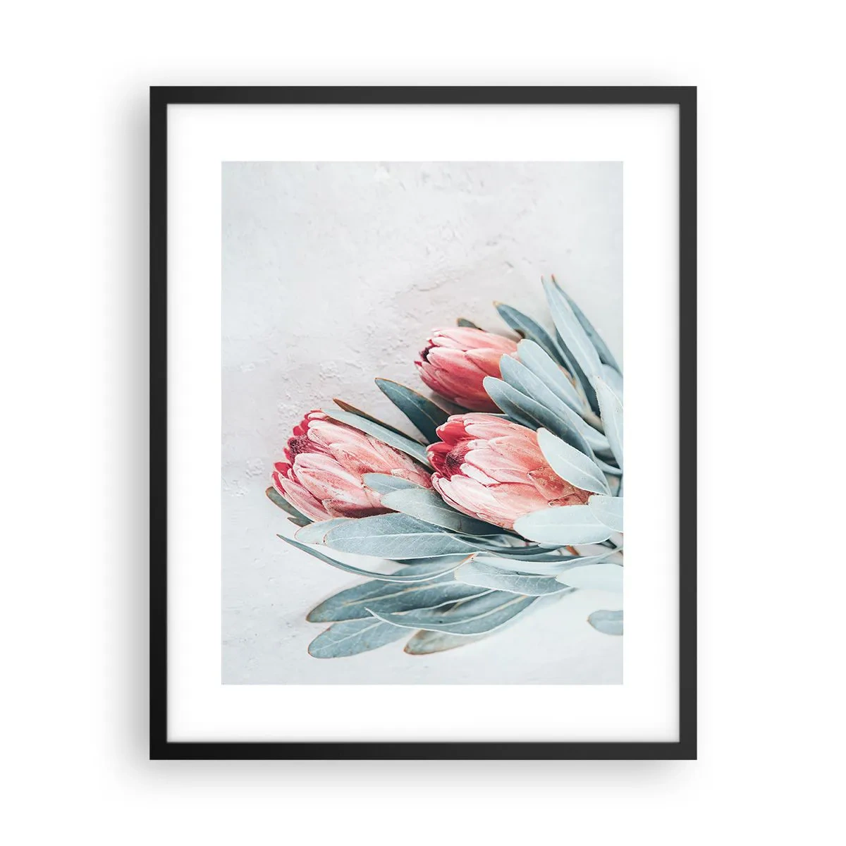 Plagát v čiernom ráme - Zahanbené svojou vlastnou krásou - 40x50 cm