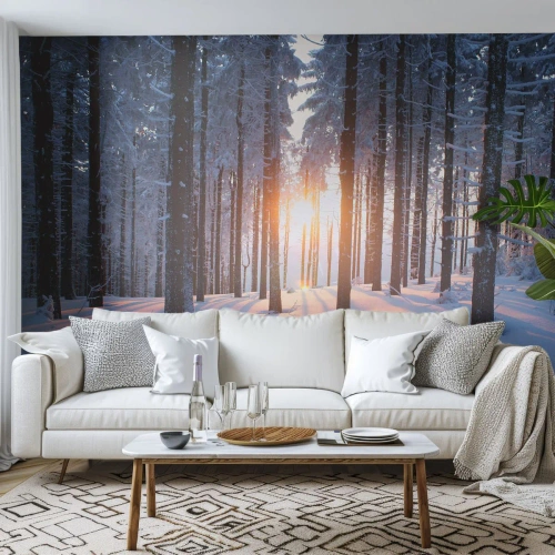 Samolepiaca Fototapeta Deluxe Sticker - Jasne čierne na bielom - Krajina, les, Sneh - 250x175 cm