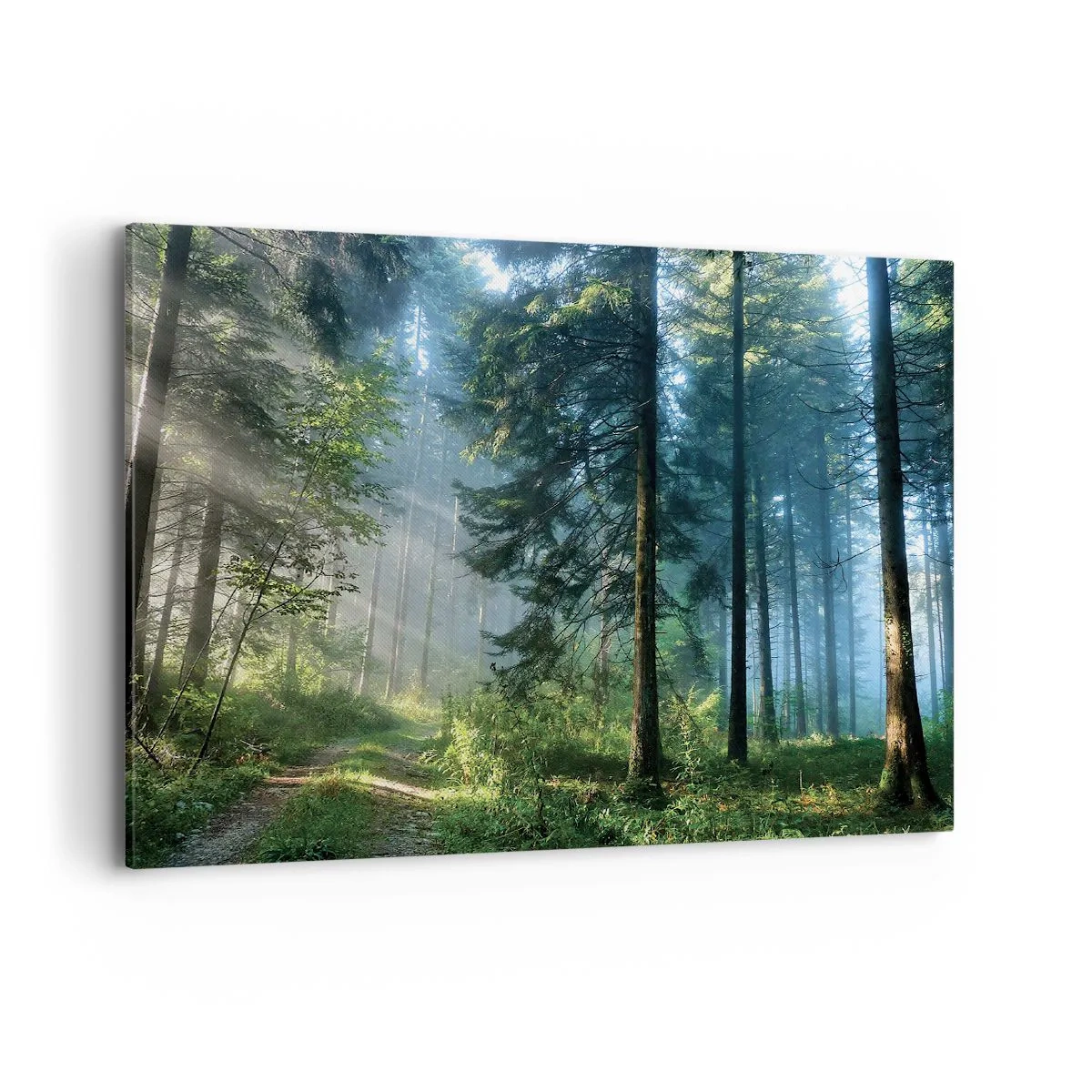 Obraz na plátne - Žiariaci za úsvitu - 100x70 cm
