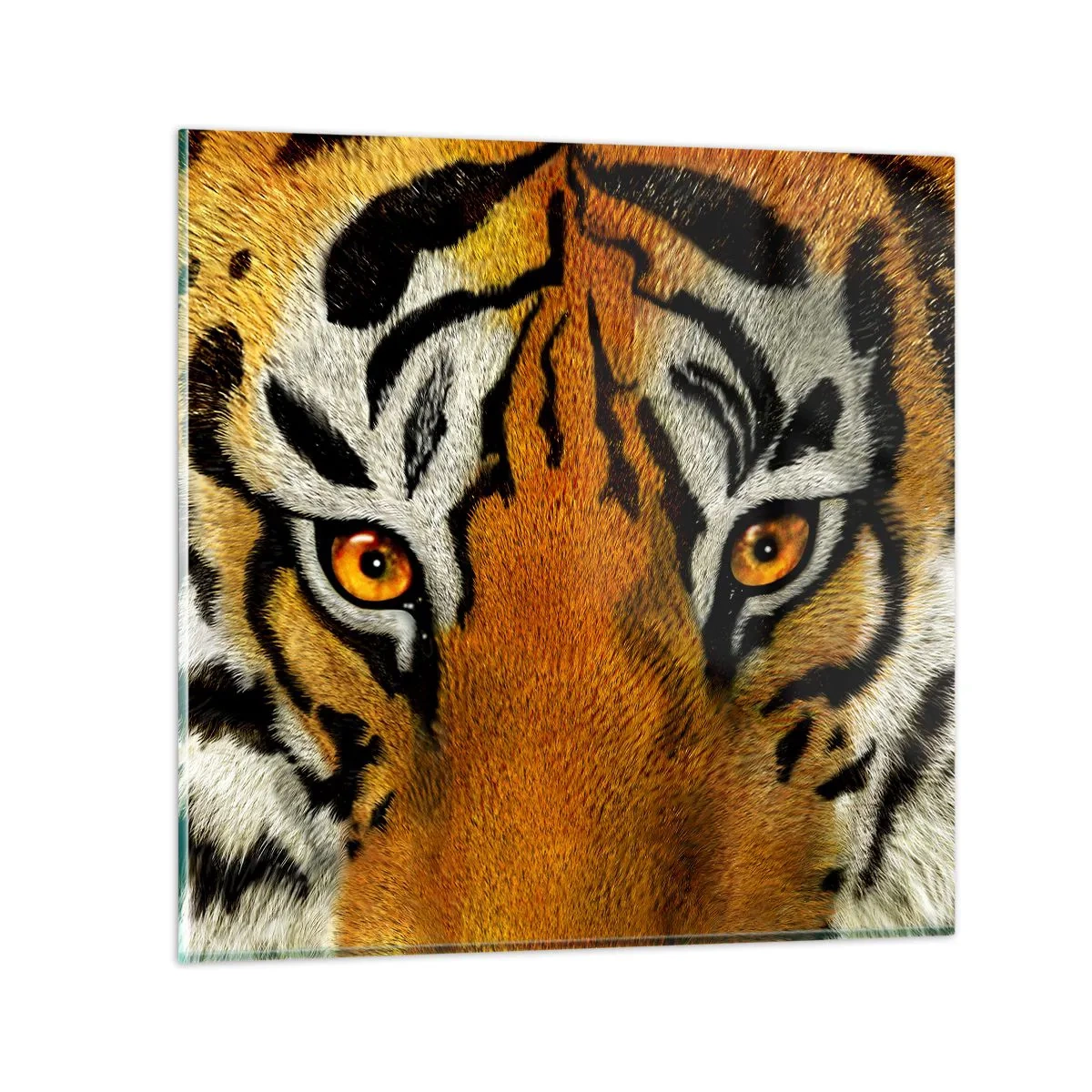 Obraz na skle - Nebezpečný a krásny - 30x30 cm