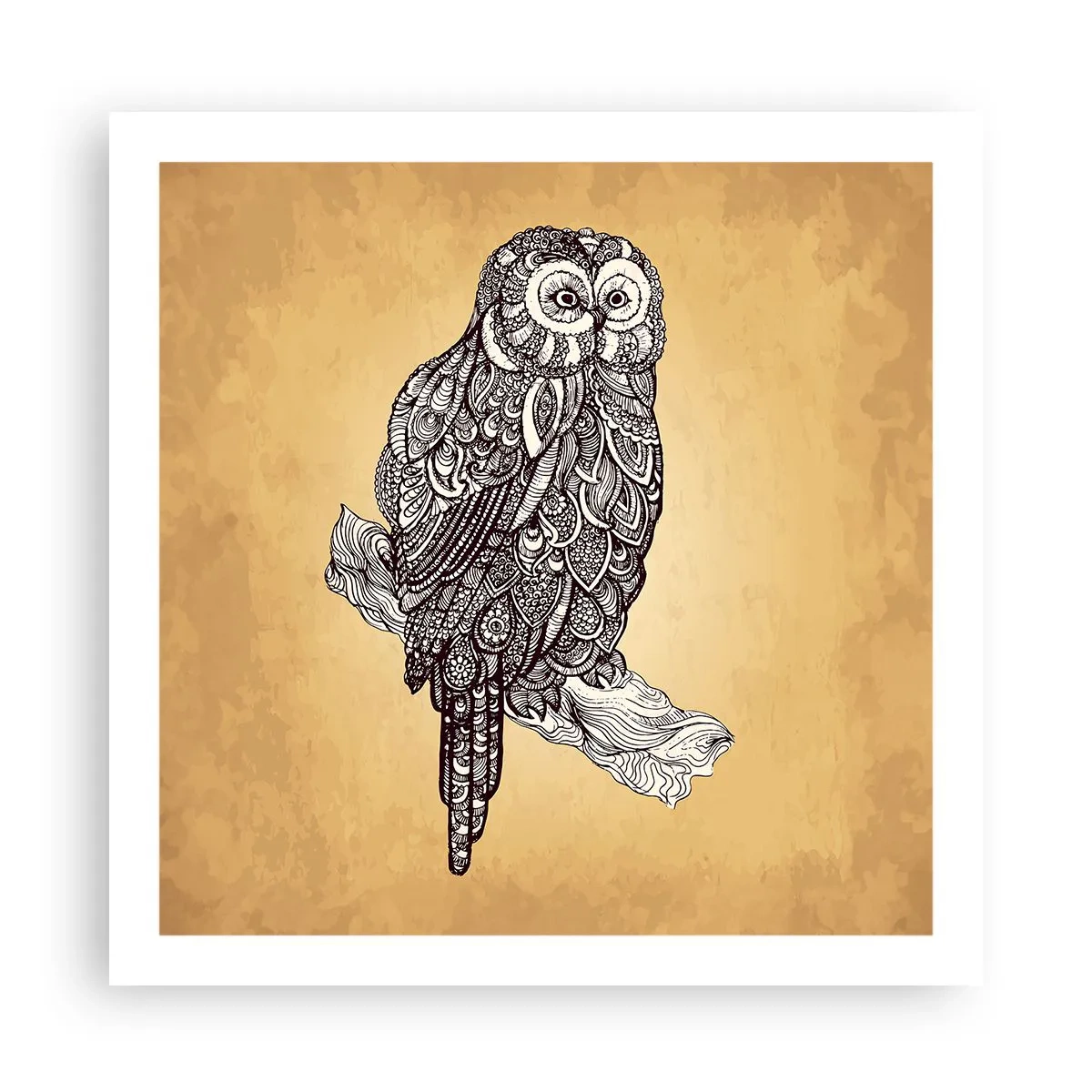 Plagát - Majstrovské ornamenty múdrosti - 60x60 cm