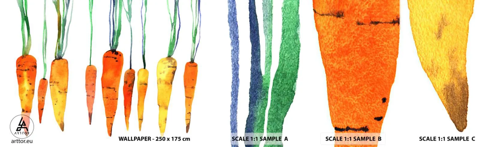 Vzorka Fototapeta Standard Eco - Krása zvyčajnosti - Gastronómia, Mrkva, Grafika - 100x30 cm