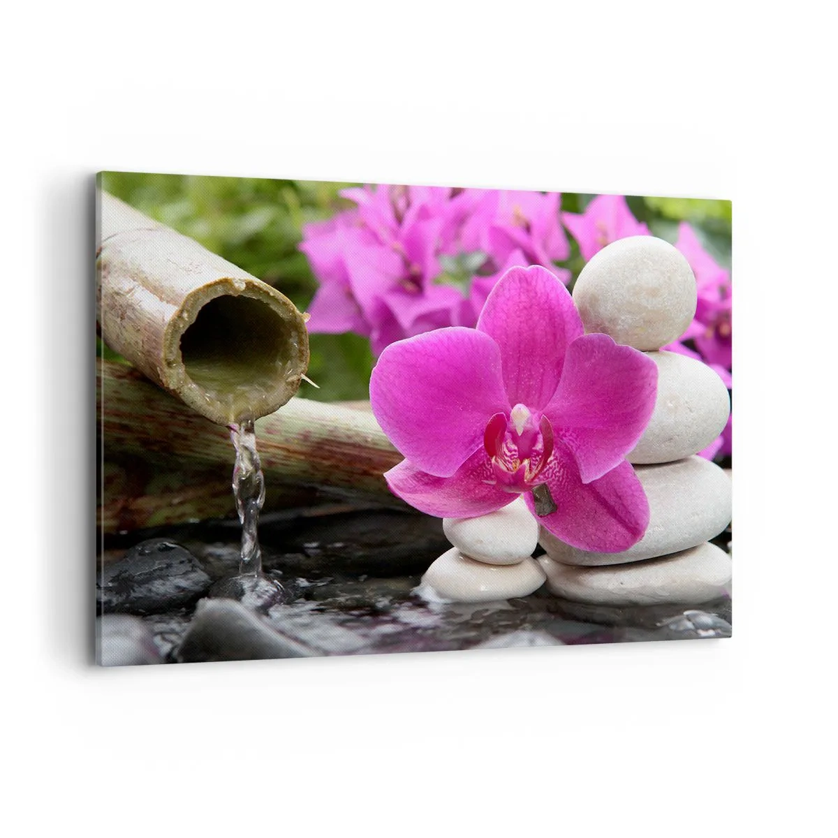 Obraz na plátne - Už odpočívaš - 100x70 cm