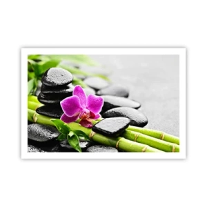 Plagát - V pokojnej rovnováhe - 91x61 cm