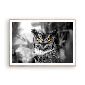 Plagát v ráme zo svetlého duba - Nič sa neschová - 100x70 cm