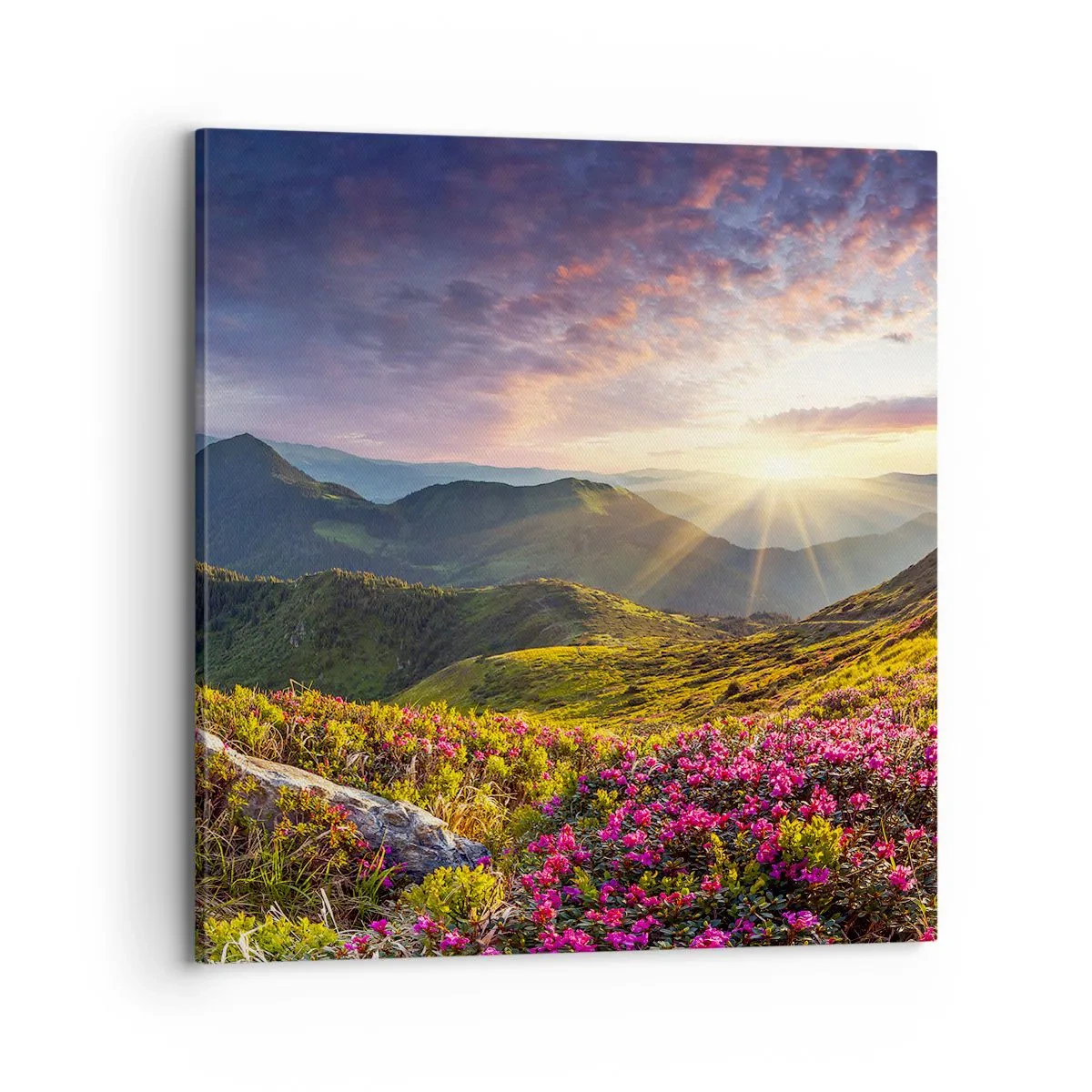 Obraz na plátne - Sviežosť horského rána - 70x70 cm