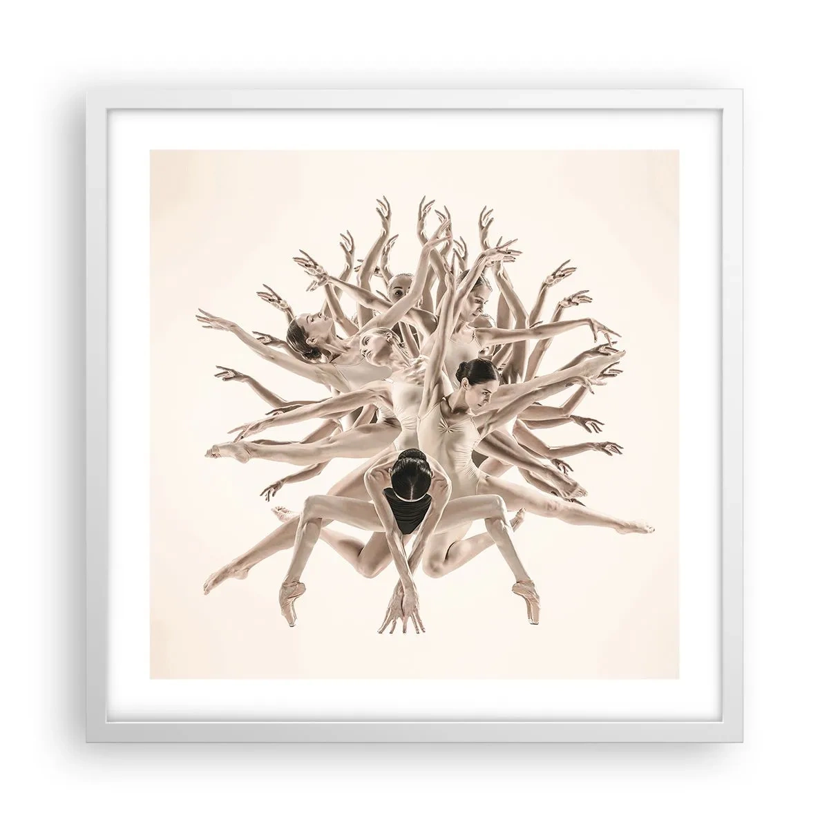 Plagát v bielom ráme - Rozkvet v tanci - 50x50 cm