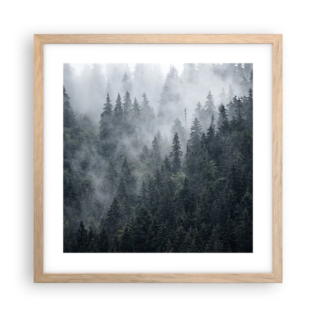 Plagát v ráme zo svetlého duba - Lesné svitania - 40x40 cm