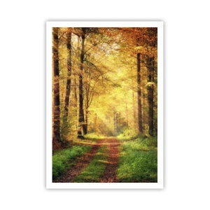 Plagát - Lesno-zlaté ticho - 70x100 cm