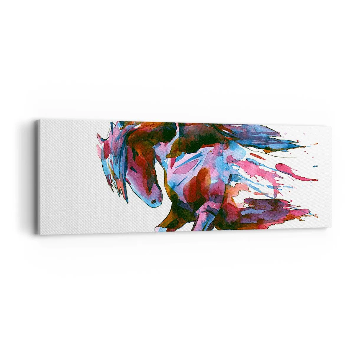 Obraz na plátne - Nadšenie - 90x30 cm