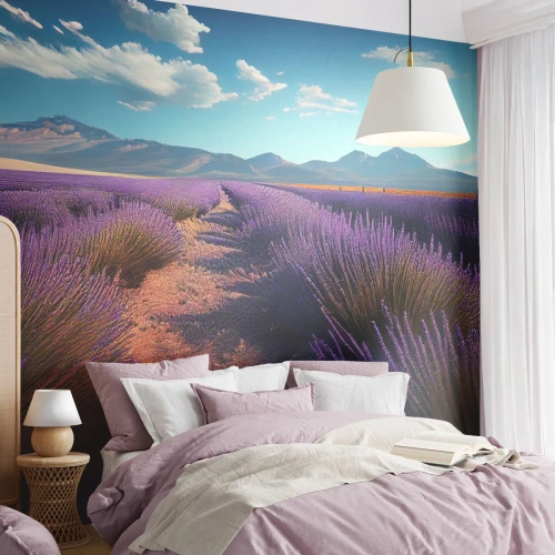 Fototapeta Premium Sand - Voňavé polia - Levanduľa, Horizont, Krajina - 100x70 cm