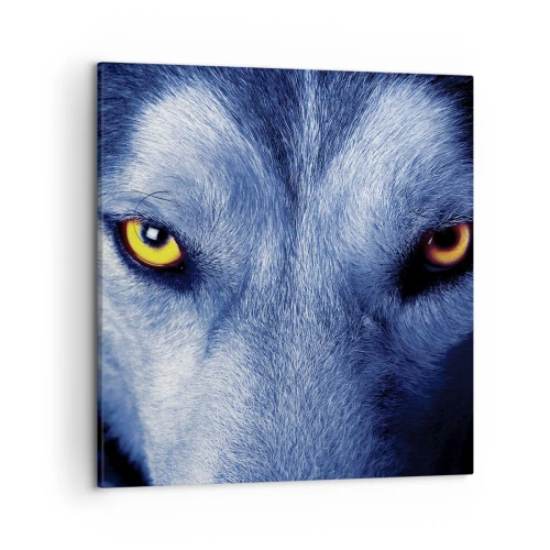 Obraz na plátne - Fascinujúci pohľad - 50x50 cm