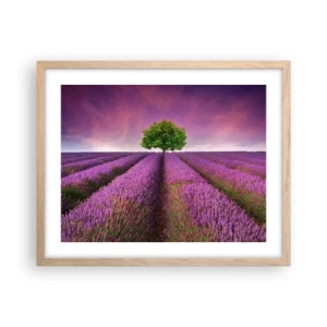 Plagát v ráme zo svetlého duba - Na levanduľových poliach - 50x40 cm