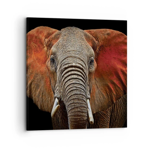 Obraz na plátne - Som divoký, a ty? - 70x70 cm