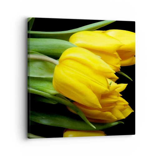 Obraz na plátne - Vznikli z čistého slnka - 30x30 cm