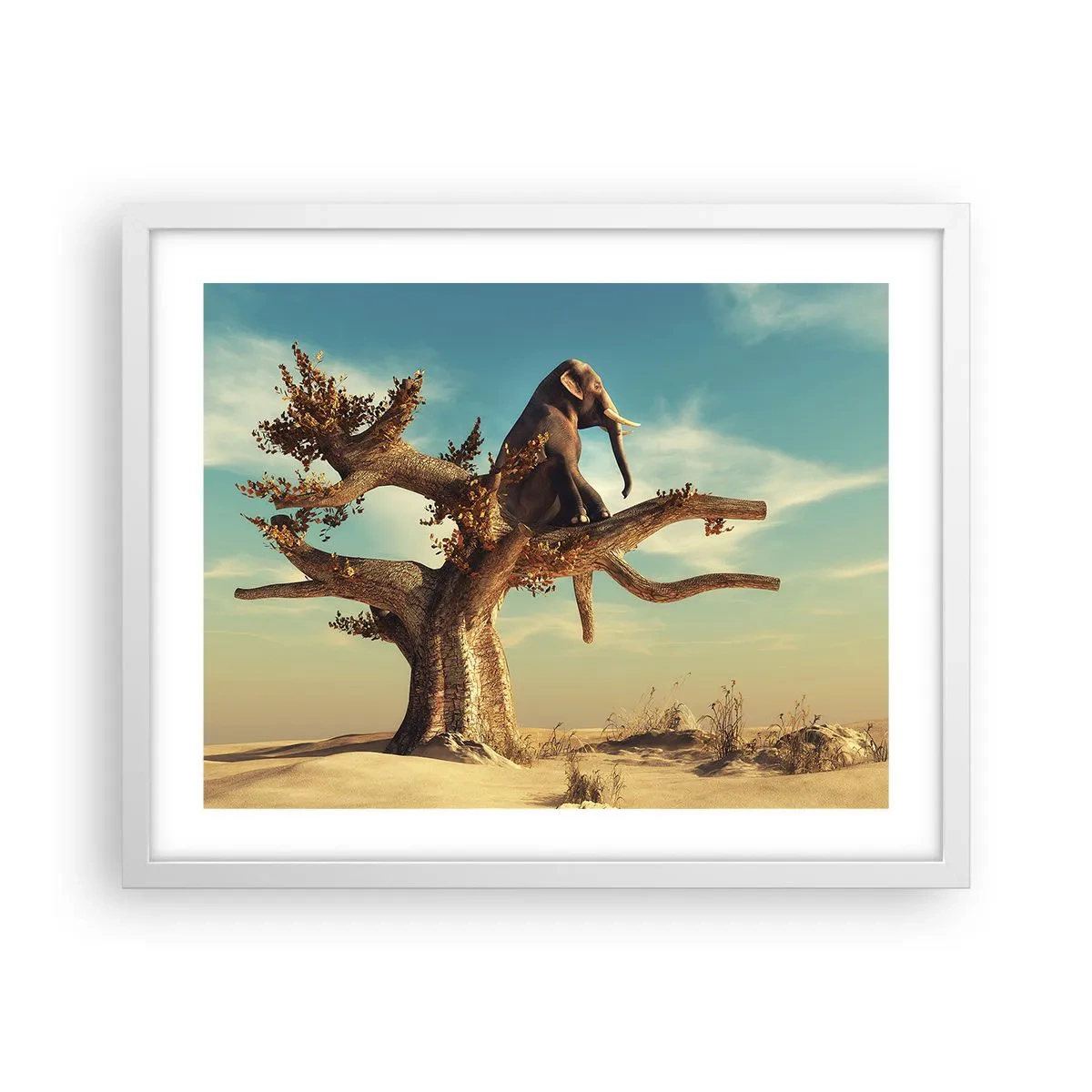 Plagát v bielom ráme - Nový uhol pohľadu - 50x40 cm