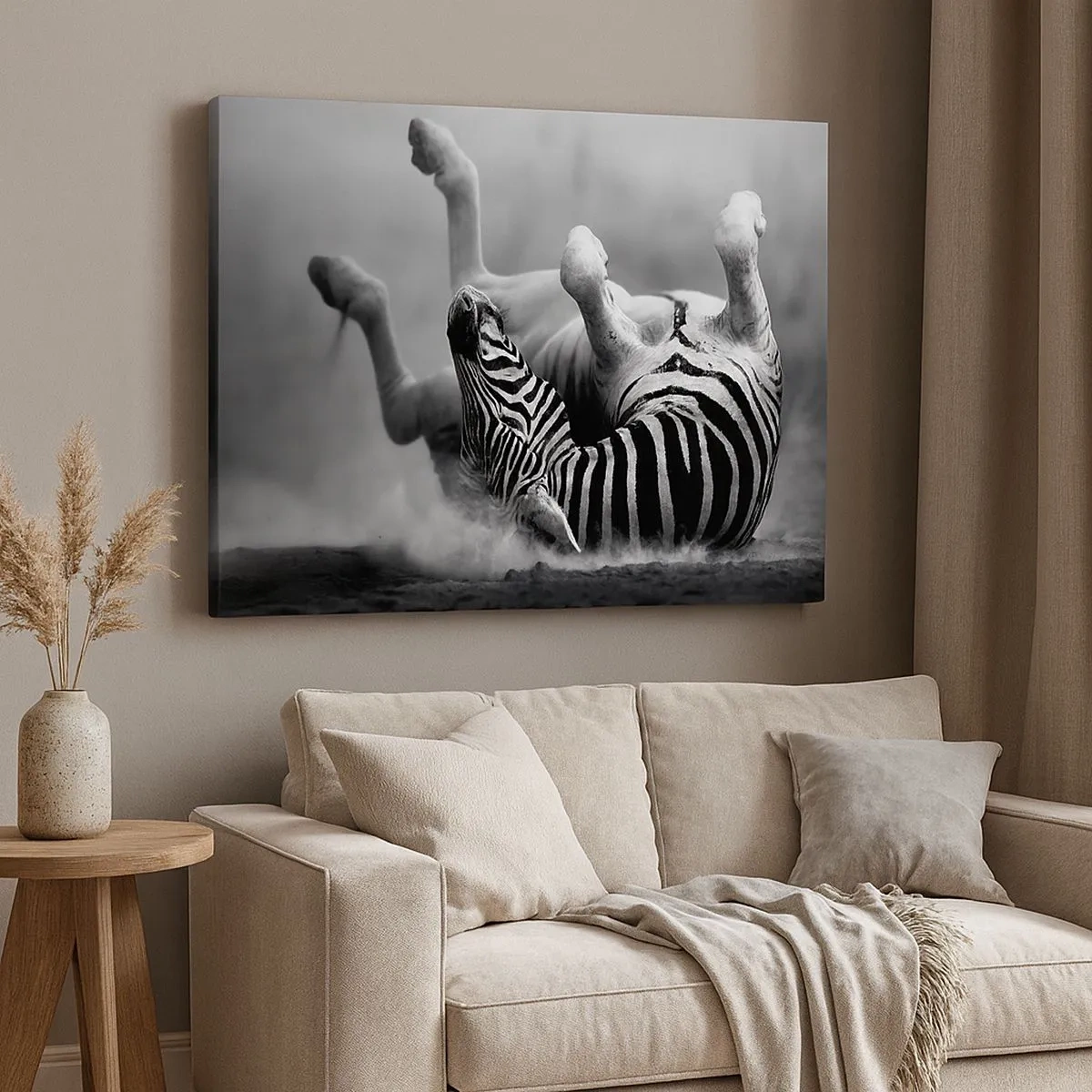 Obraz na plátne - Čierna a biela zebra sa váľa v piesku - 70x50cm - Je to na roztrhanie - Moderná nástenná dekorácia do obývacej izby a spálne ARTTOR