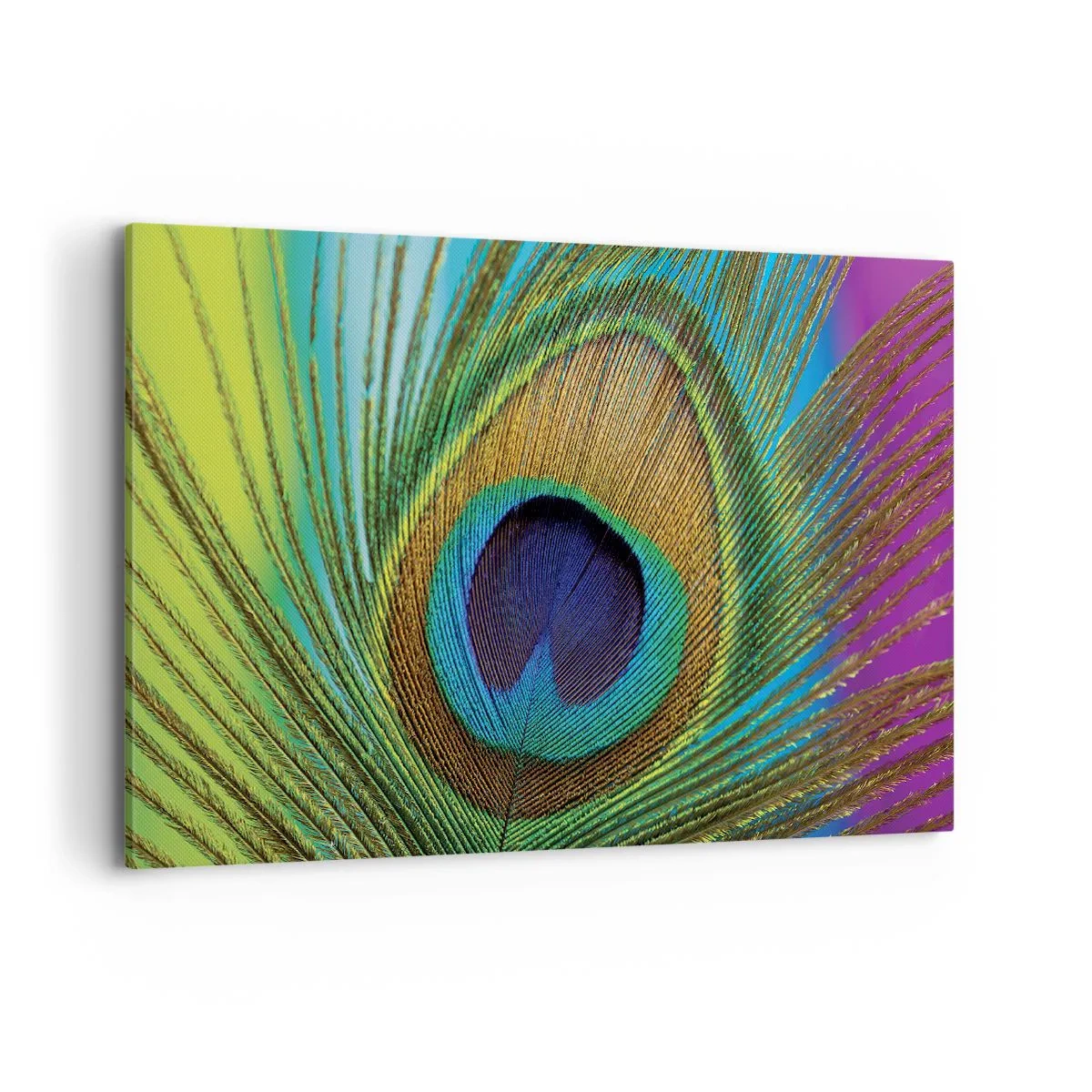 Obraz na plátne - Tvárou v tvár - 120x80 cm