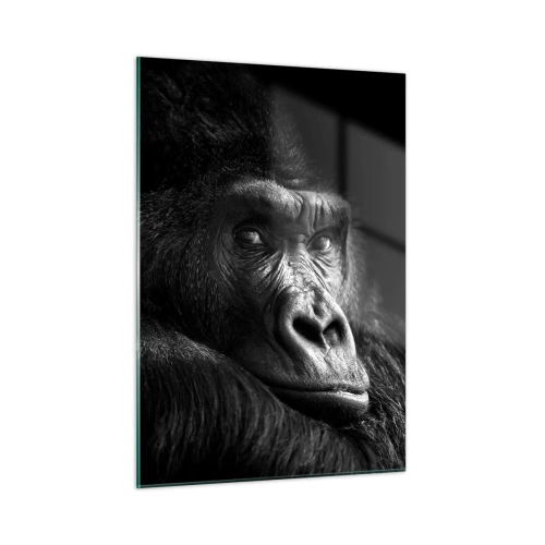 Obraz na skle - Na čo sa tak pozeráš? - 50x70 cm