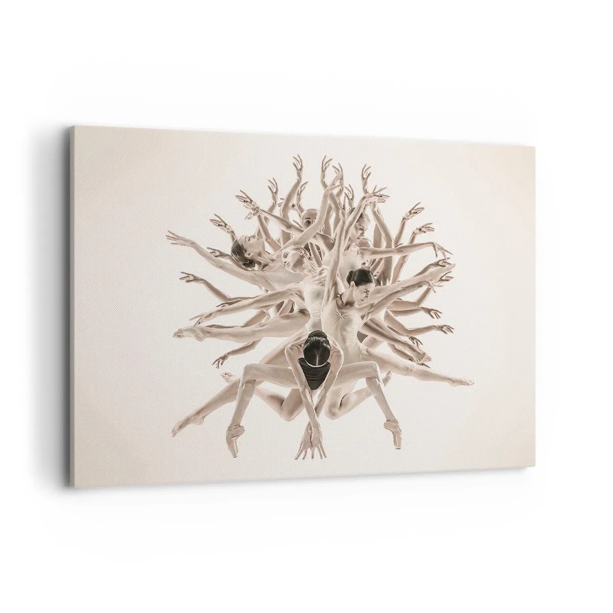 Obraz na plátne - Rozkvet v tanci - 100x70 cm