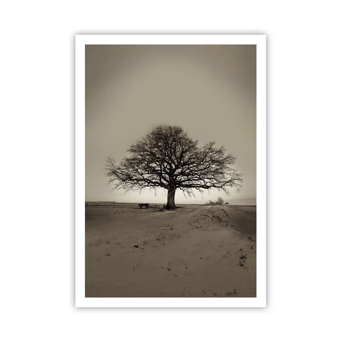 Plagát - Odtiaľ až do večnosti - 70x100 cm