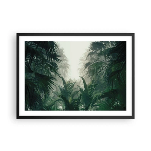 Plagát v čiernom ráme - Tropická záhada - 70x50 cm